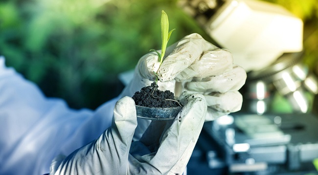 Агрохимический анализ почвы Агрохимический анализ почвы