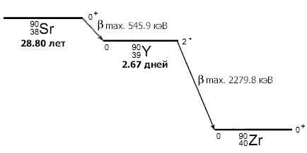 Схема распада строниця 90 Схема распада строниця 90